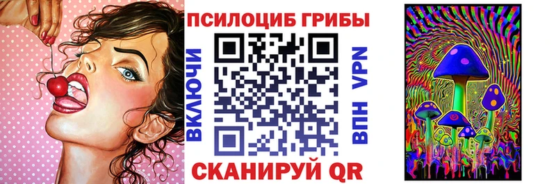 Галлюциногенные грибы Psilocybe  Касли 